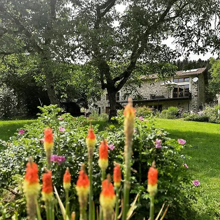 Domaine Les Macans Saint-Vert